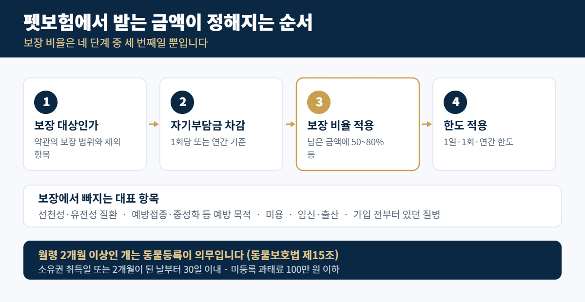 펫보험 보장 비율과 자기부담금: 가입 전 확인할 조건 2 펫보험에서 받는 금액이 정해지는 네 단계와 보장 제외 항목